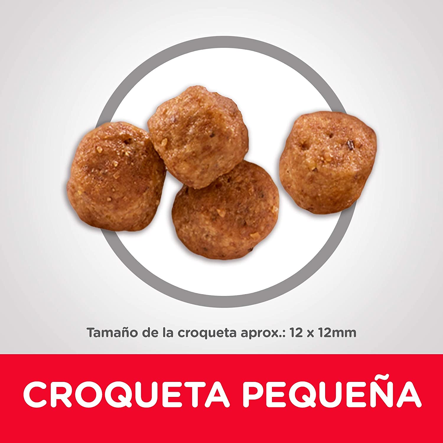Adult 7+  canino