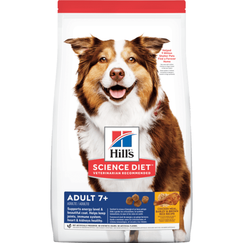 Adult 7+  canino
