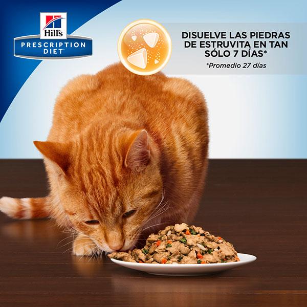 Hill's Prescription Diet c/d Alimento Húmedo Cuidado Urinario para Gato
