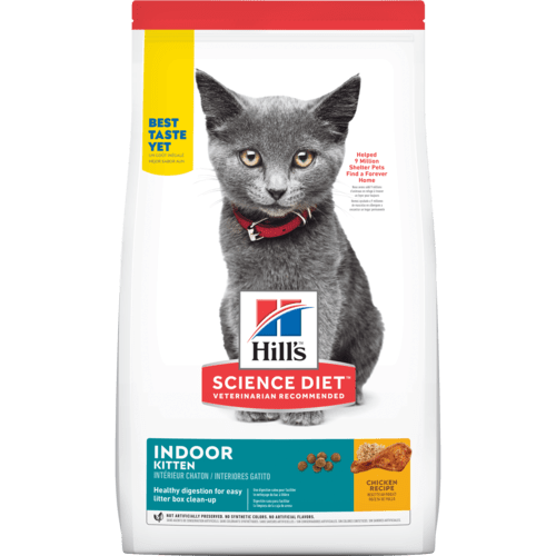 Kitten indoor felino 1.6 kg 