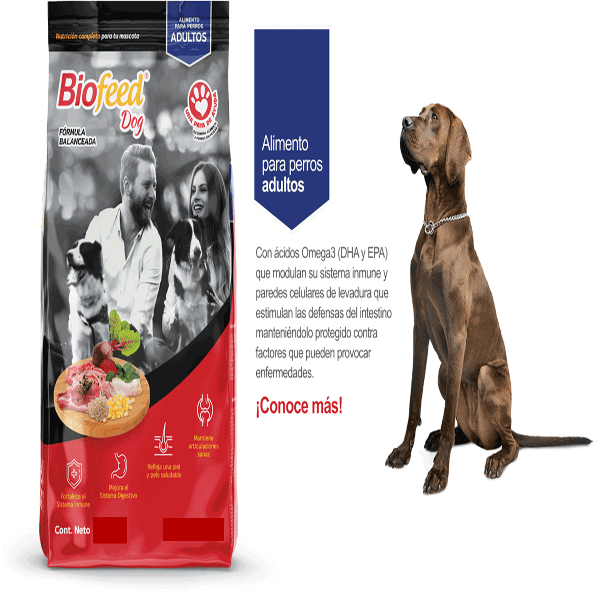 Biofeed dog adulto Rojo 20 