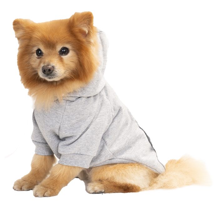 Sudadera Galileo gris perla talla 11 