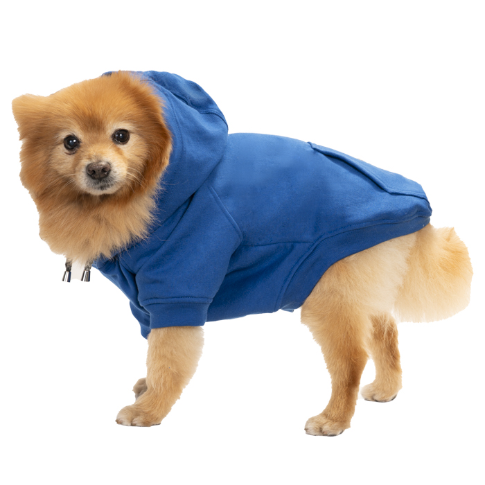 Sudadera Galileo