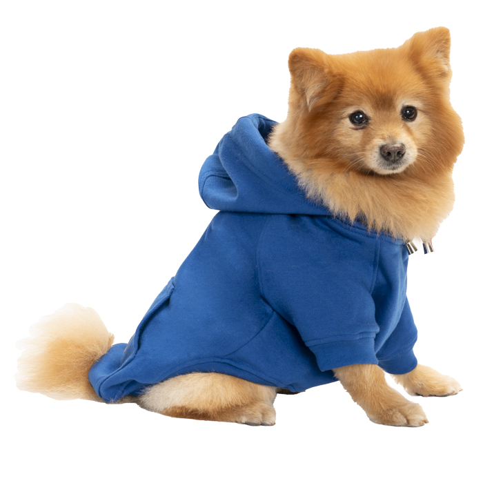 Sudadera Galileo azul rey talla 0