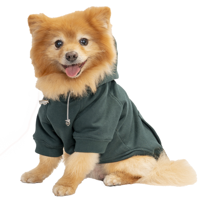 Sudadera Galileo verde botella talla 7 