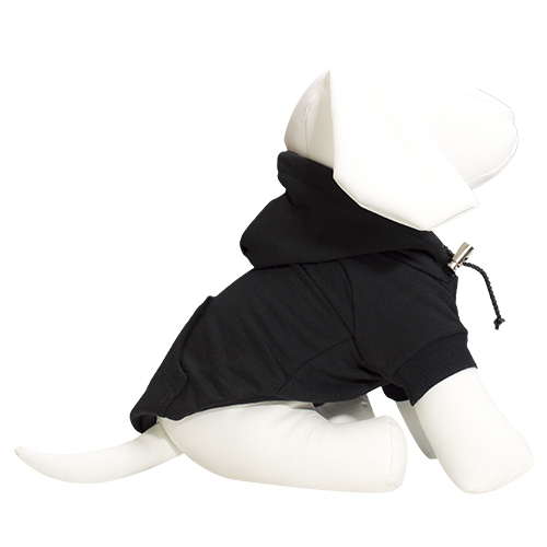Sudadera Galileo
