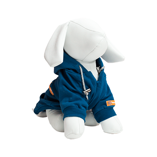 Sudadera Galileo