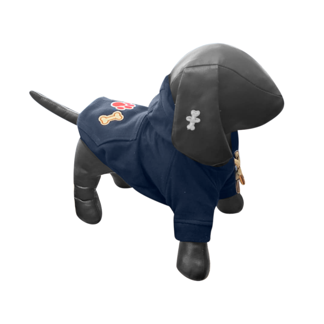 Sudadera Galileo azul petróleo talla 11