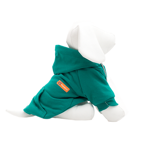 Sudadera Galileo Color jade / 11 Talla