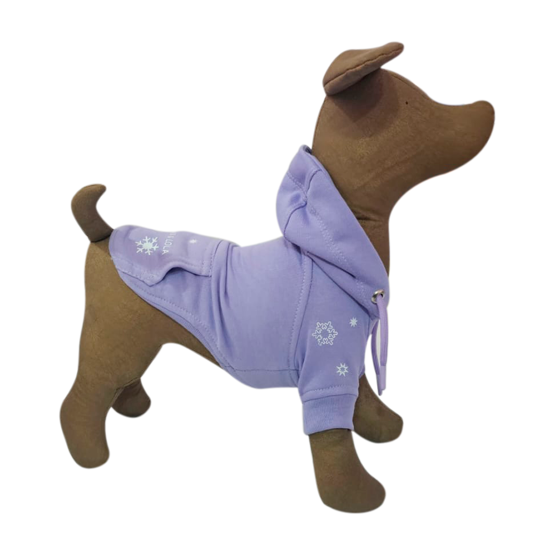 Sudadera Galileo