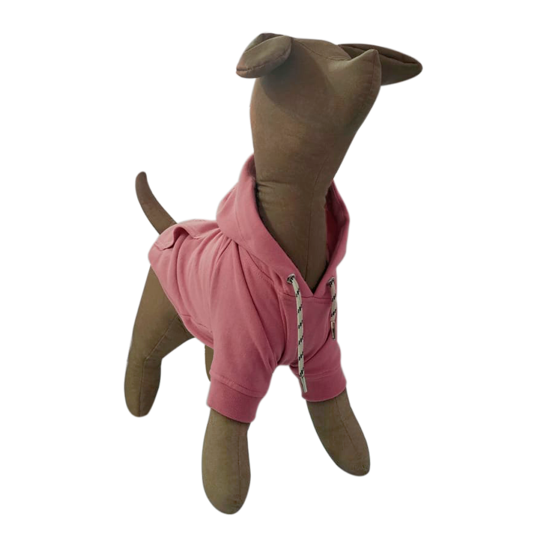 Sudadera Galileo