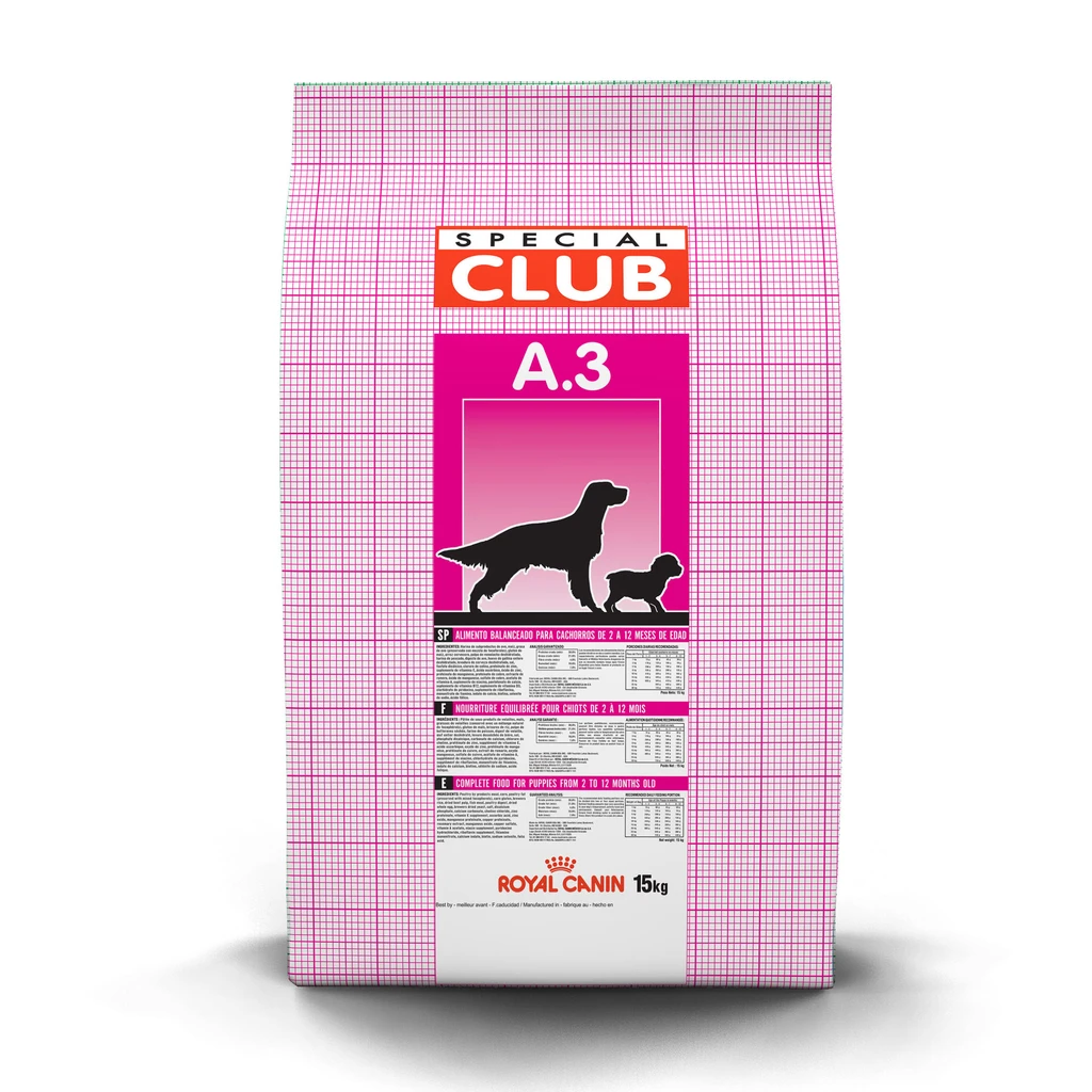 Cachorros club A3