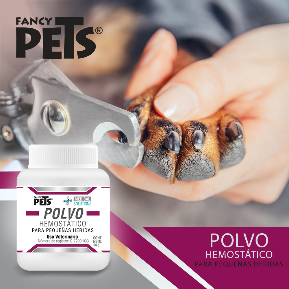 Ms - polvo hemostático quick stopper