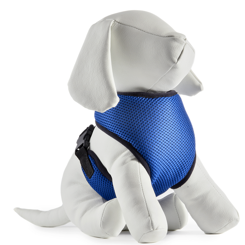 Pechera Aries azul rey Talla 1 