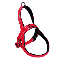 Arnés Noruego Rojo Mediano