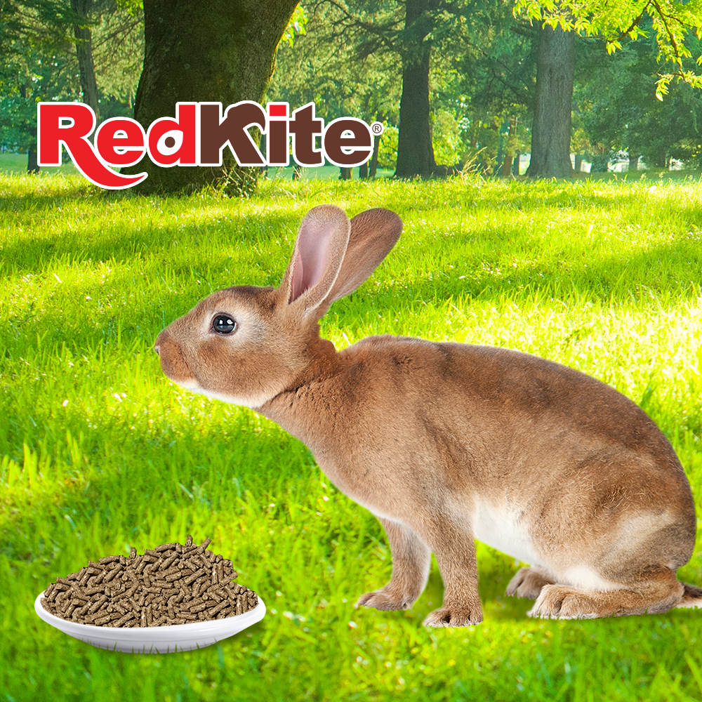 Red kite alimento para conejo 1 kg