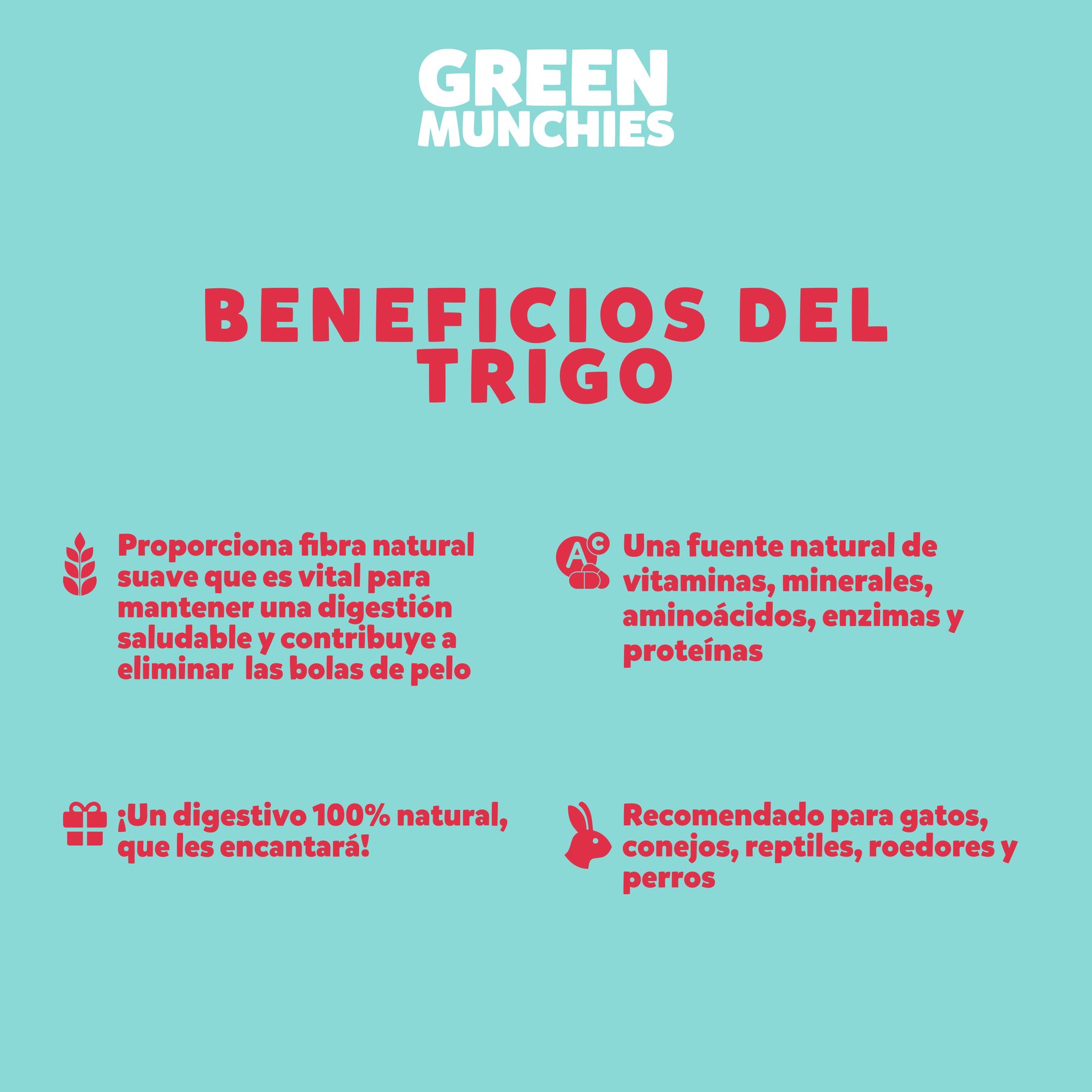 Pasto de trigo green munchies para gatos