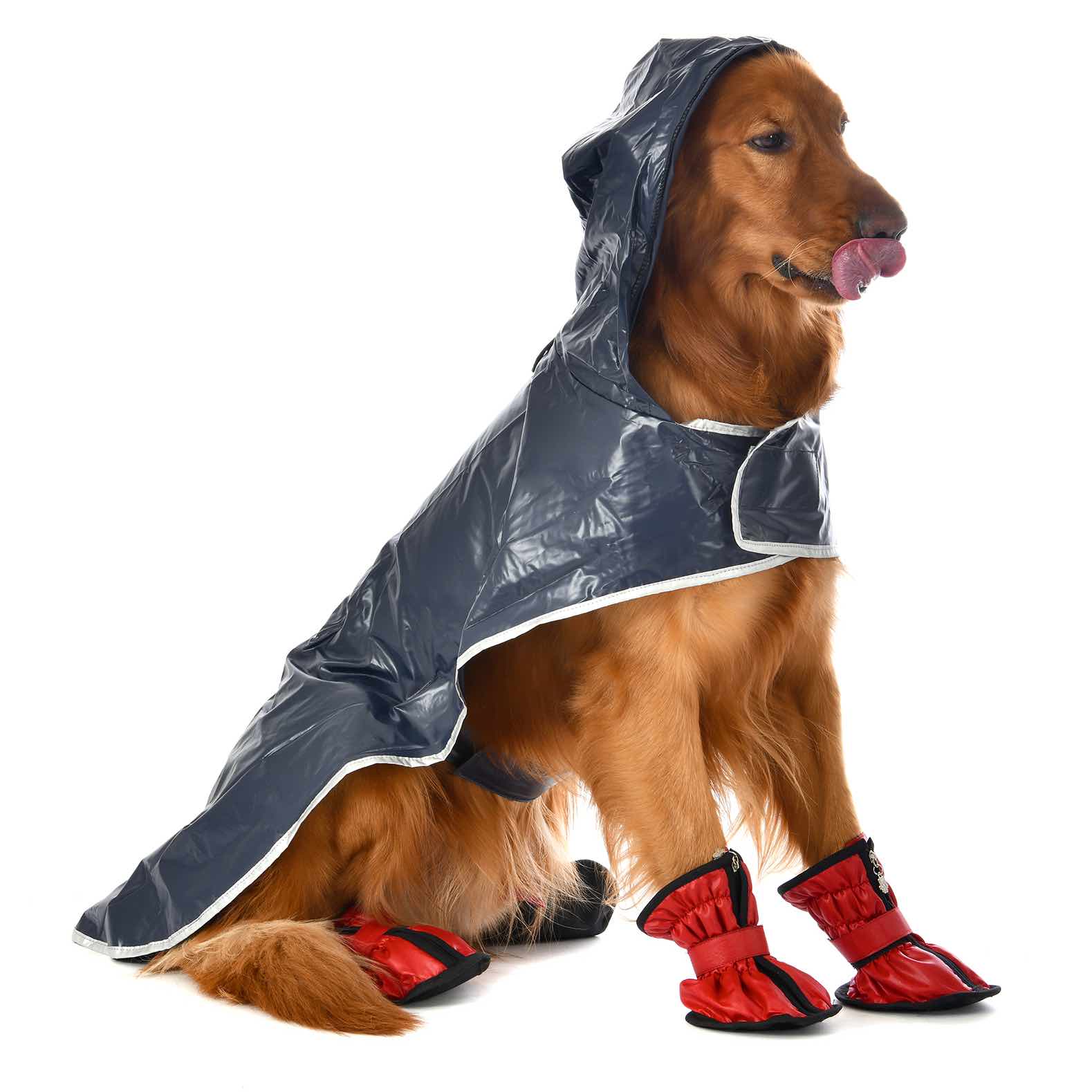 Impermeable Nefertiti gris Talla 2 