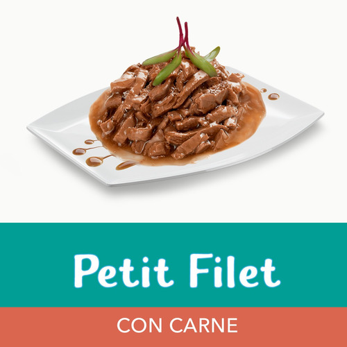 Fancy feast petit filets carne