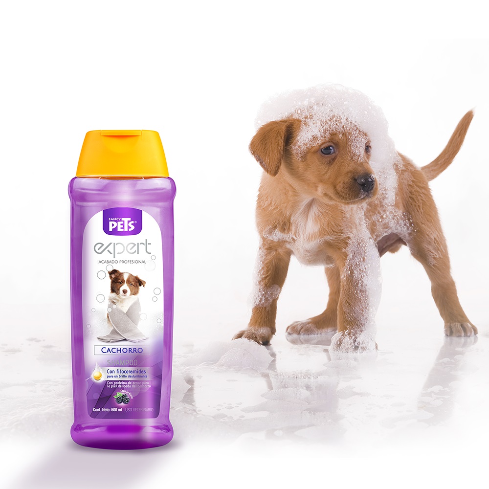 Shampoo expert para cachorros