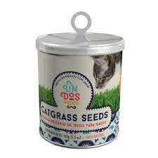 Cat grass - semillas de pasto de trigo para gatos 1 