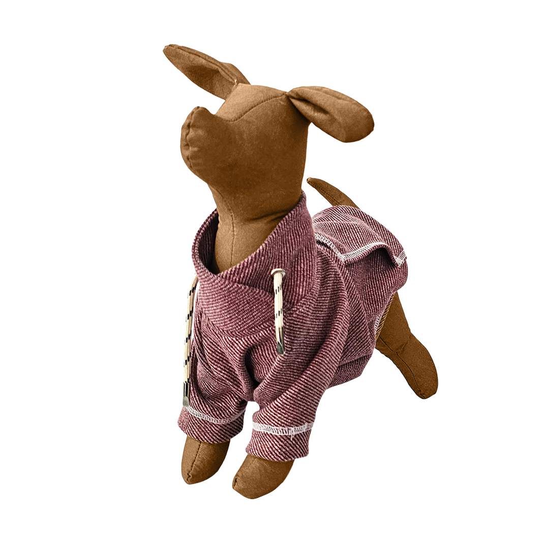 Sudadera Copérnico