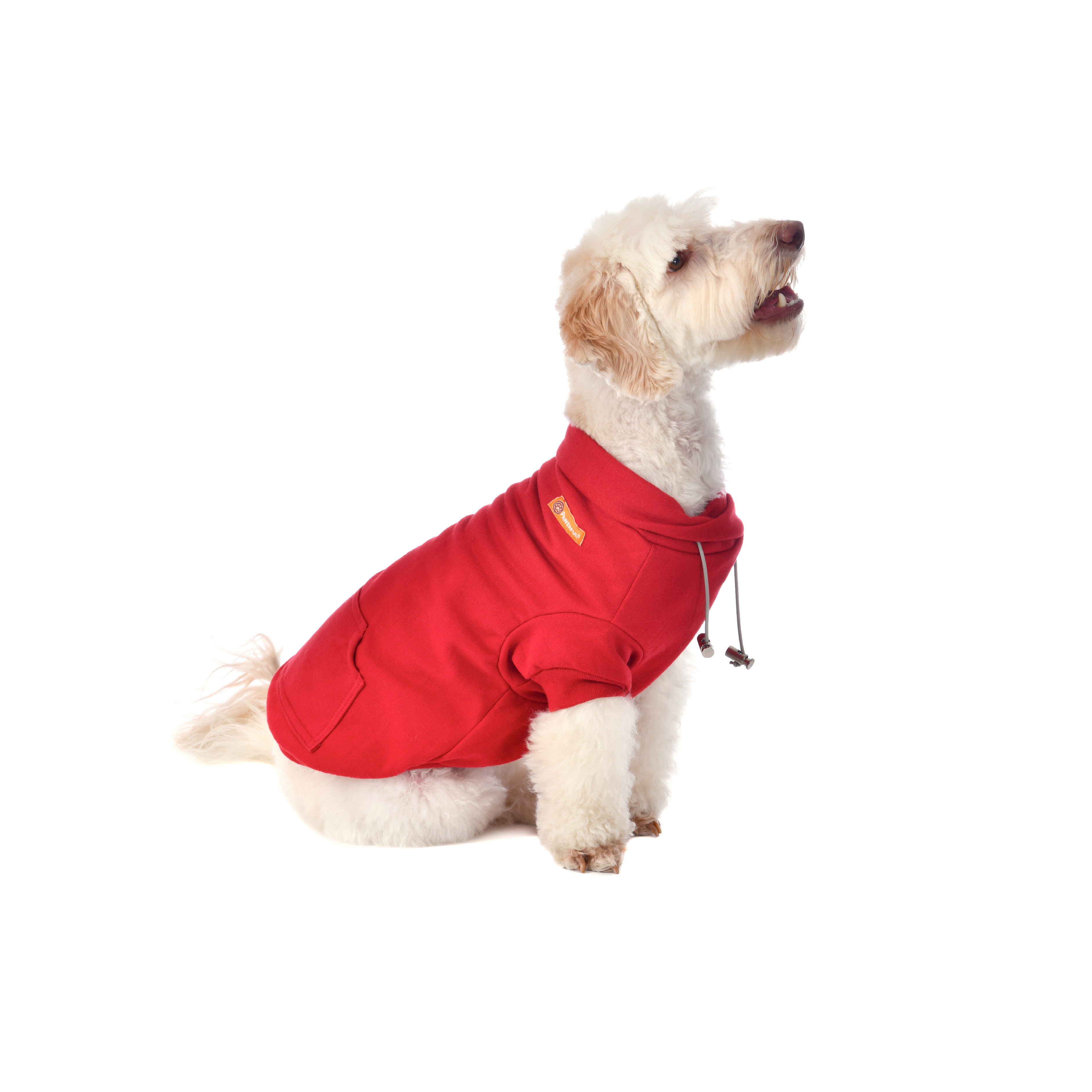Sudadera Copérnico