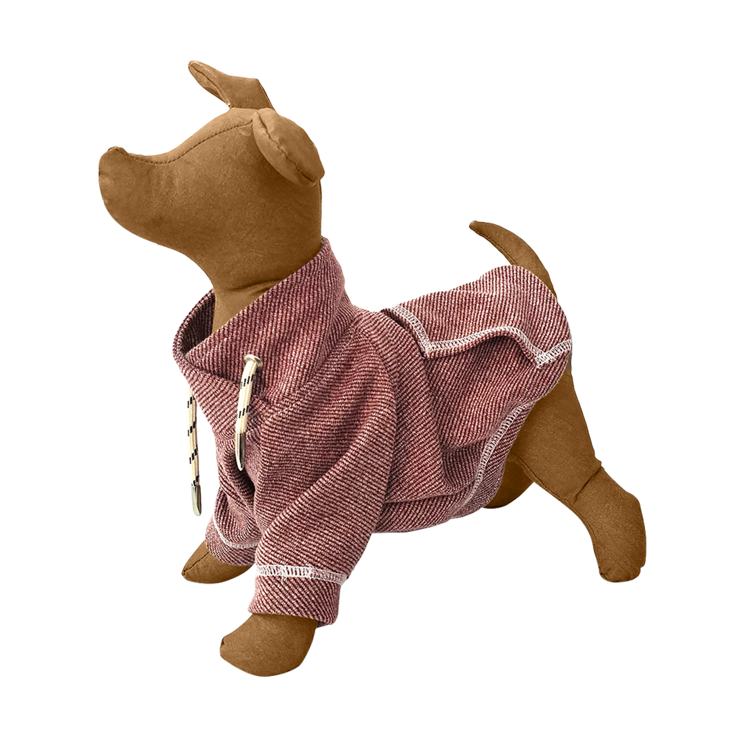 Sudadera Copérnico