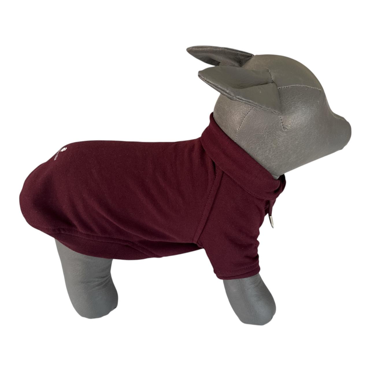 Sudadera Copérnico Color Vino / 4 Pza