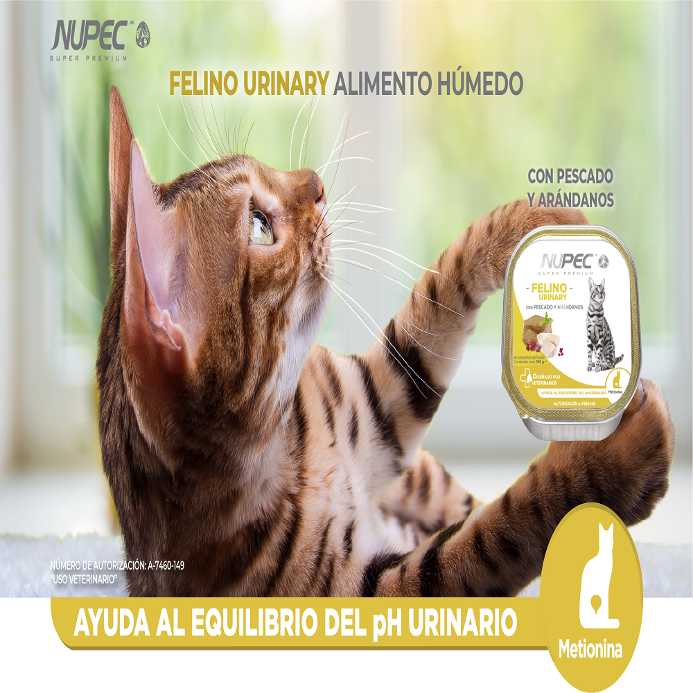 Nupec felino urinary lata
