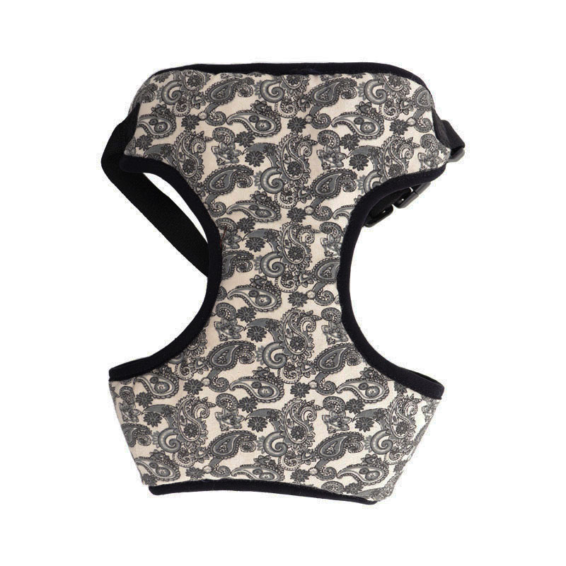 Pechera acuario  1 