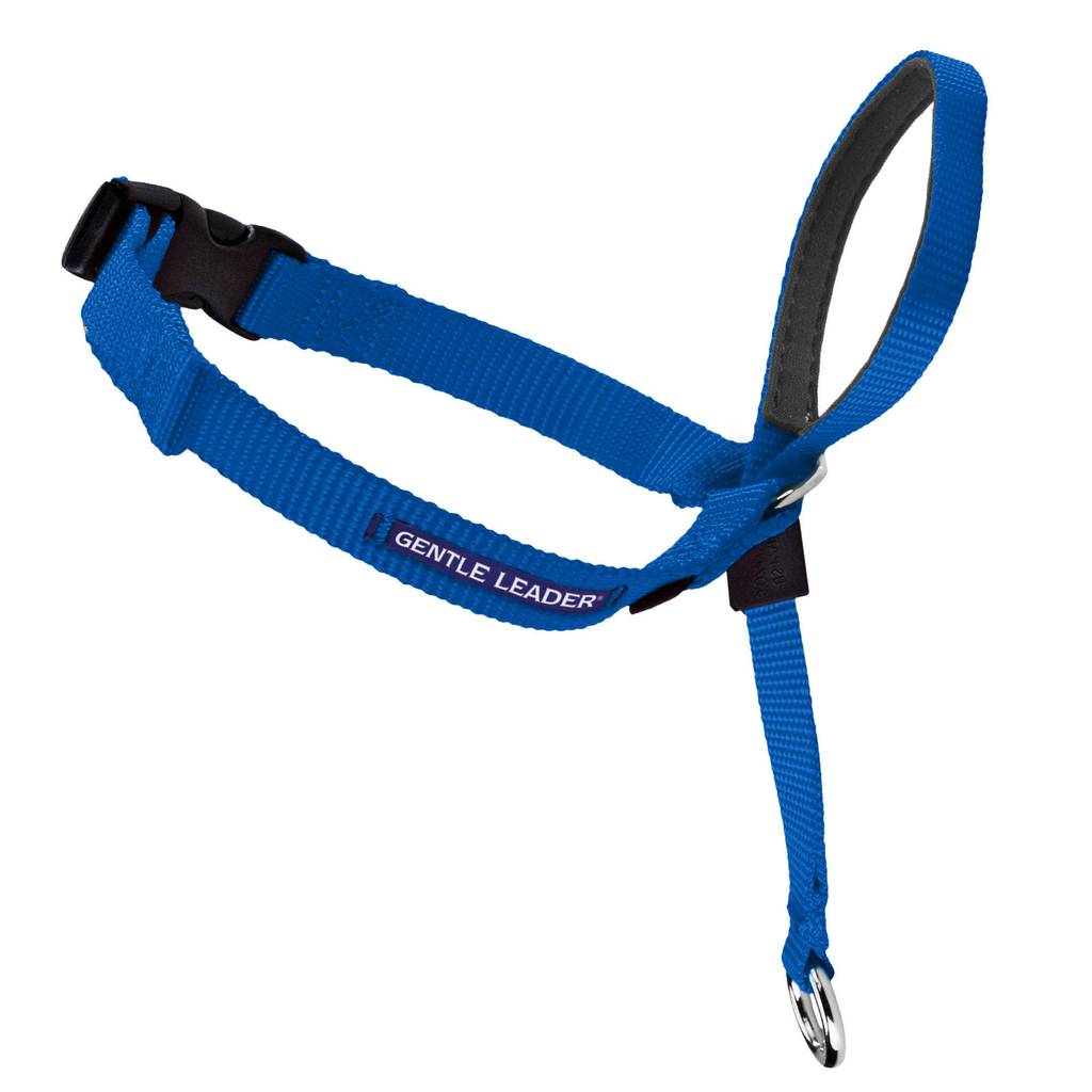Petsafe gentle leader collar de cabeza azul mediano 