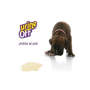 Urine off perro y cachorro