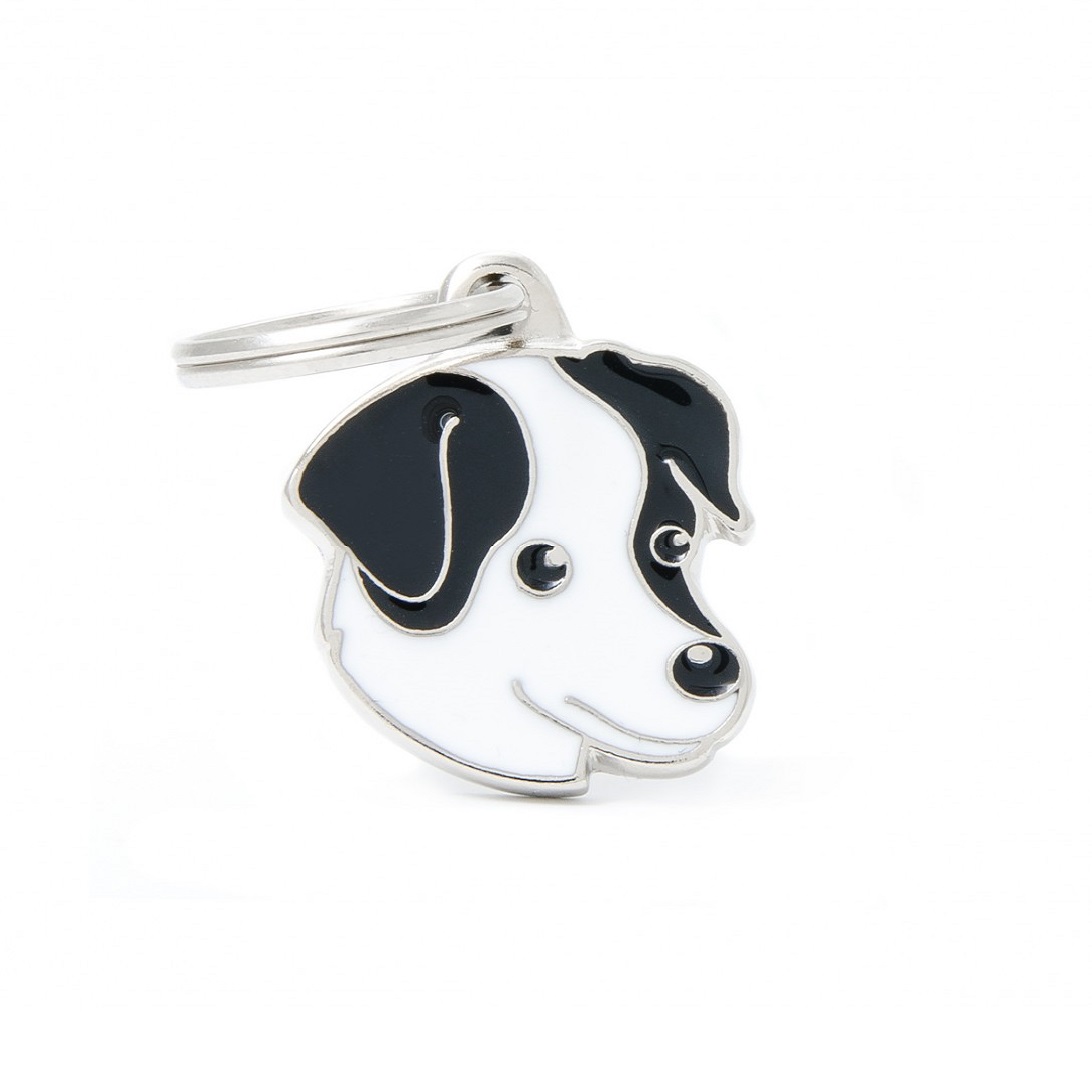 Plaquita friends black and white jack russell   