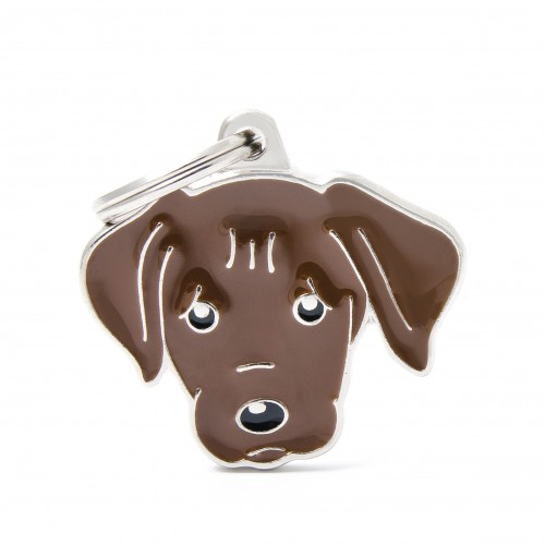 Plaquita friends chocolate labrador   