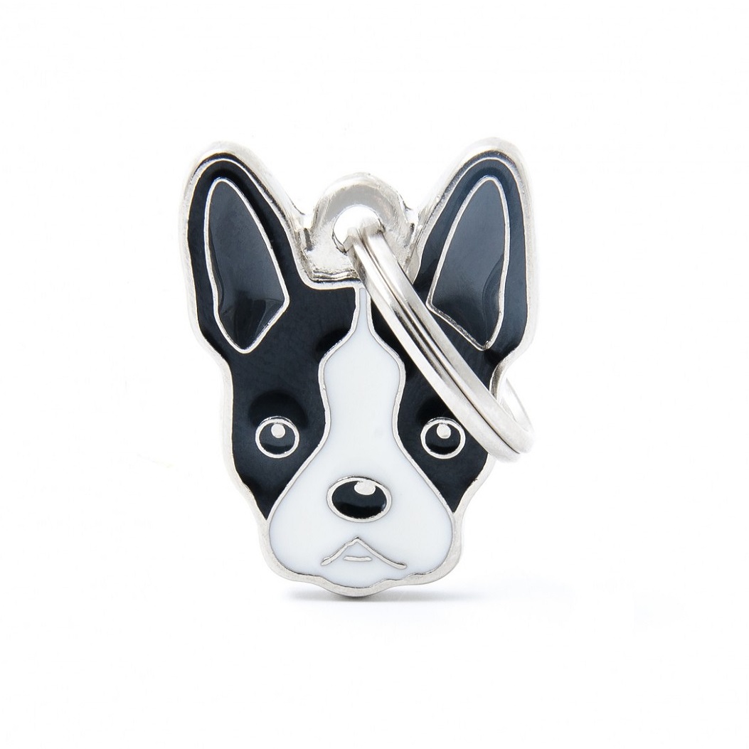 Plaquita friends boston terrier   