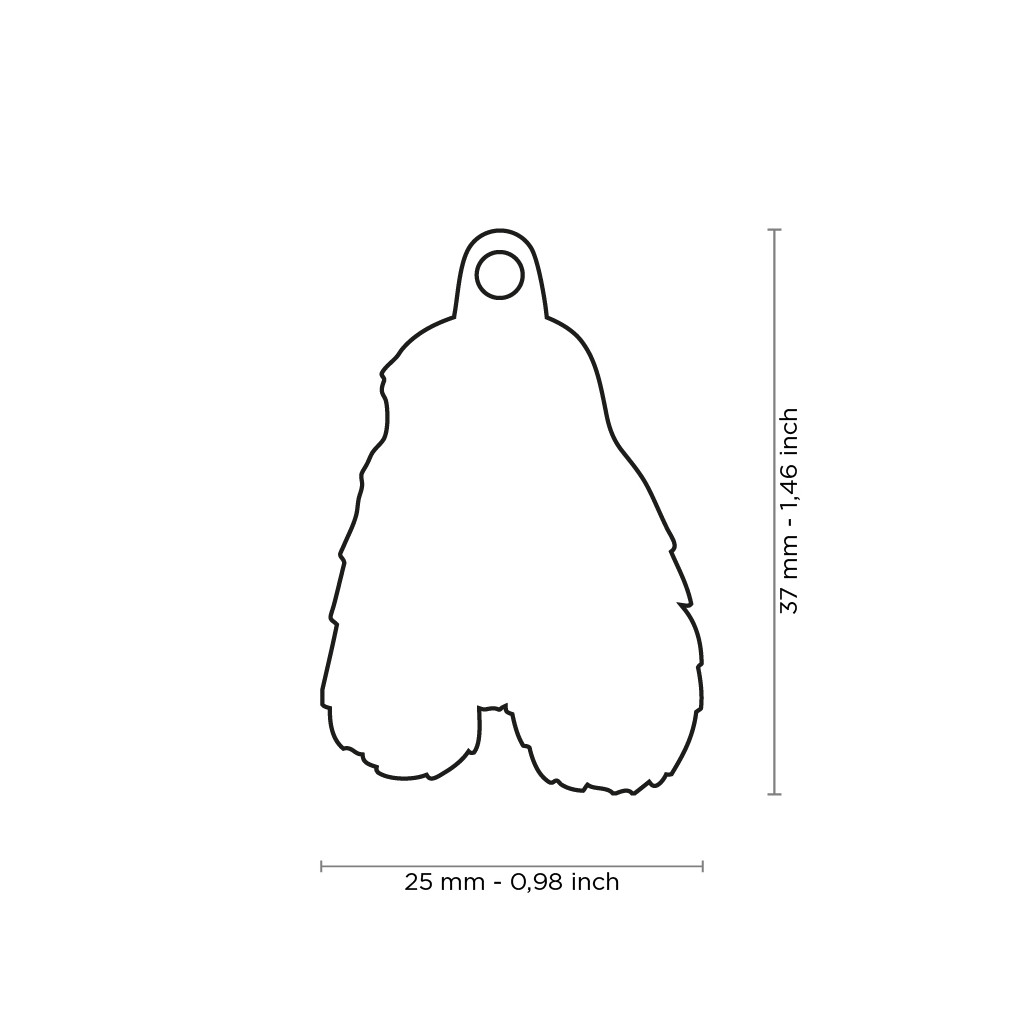 Plaquita friends liver and white springer spaniel