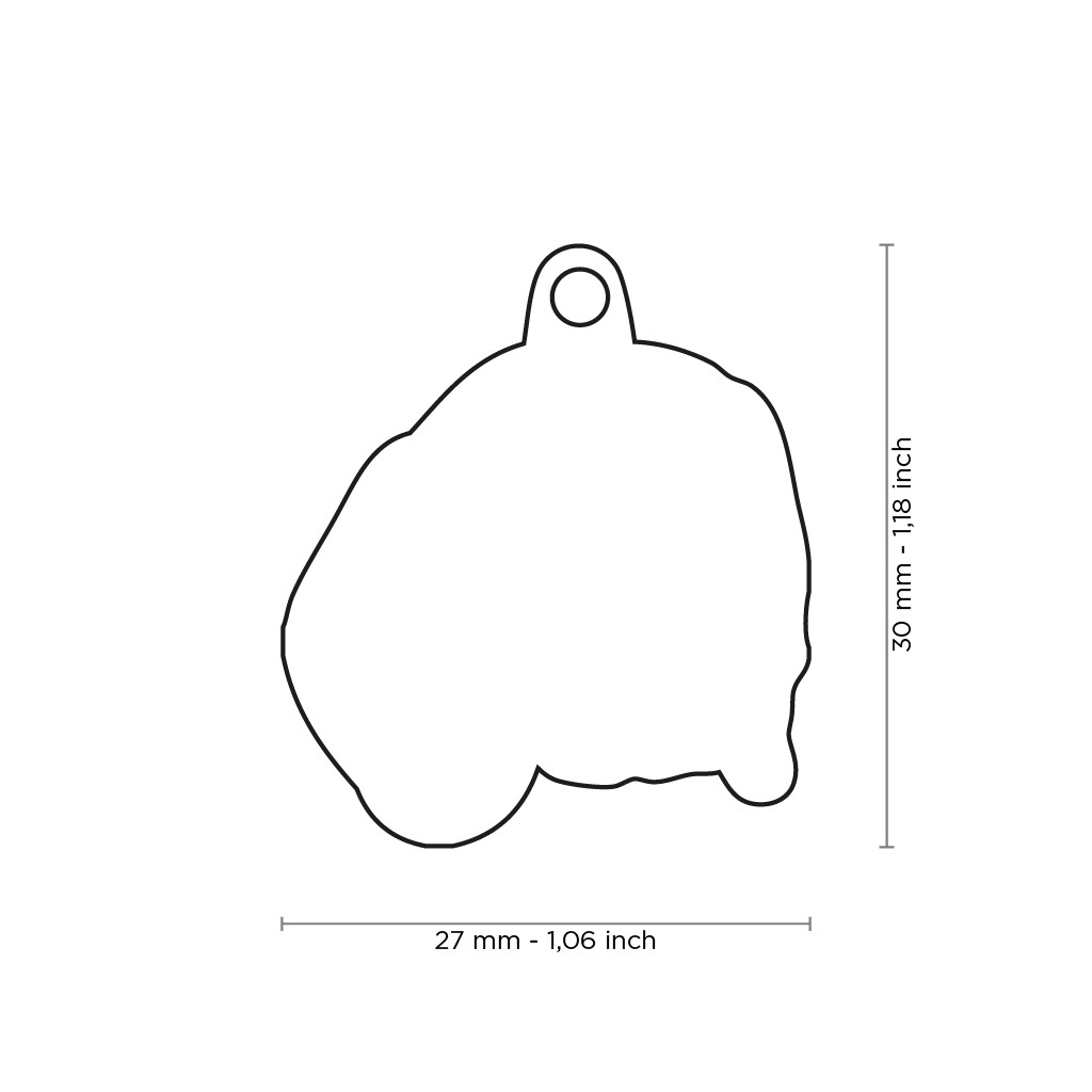 Plaquita friends beagle