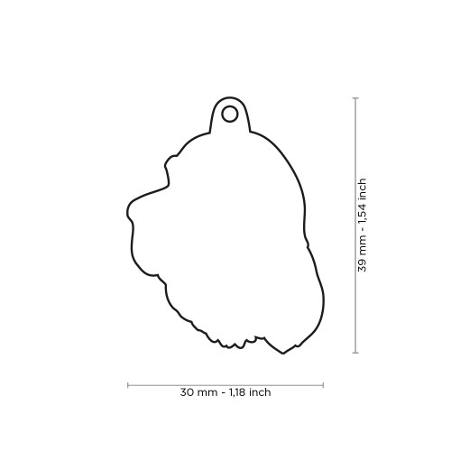 Plaquita friends english setter