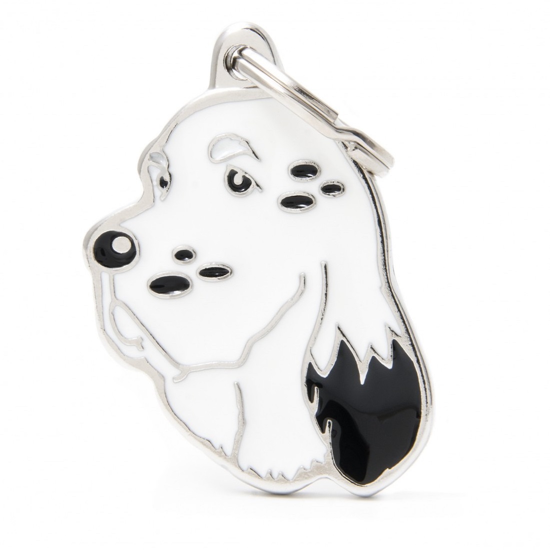 Plaquita friends english setter   