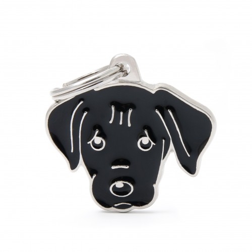 Plaquita friends black labrador