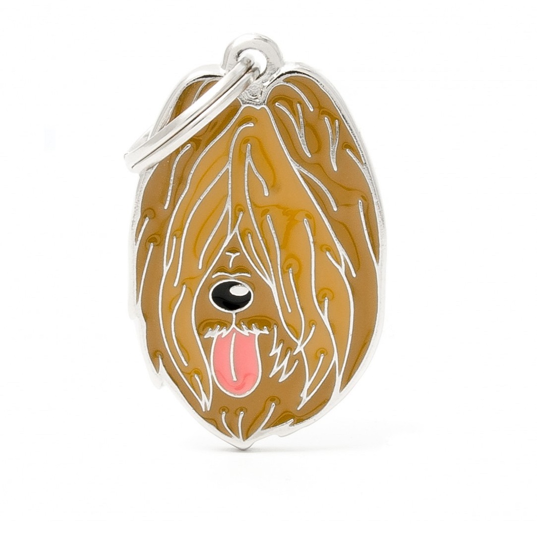 Plaquita friends briard   