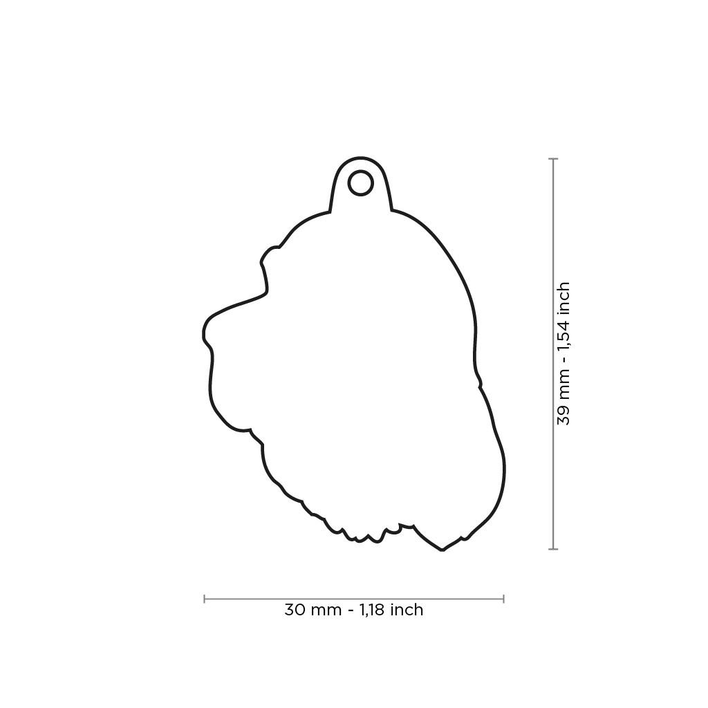 Plaquita friends gordon setter