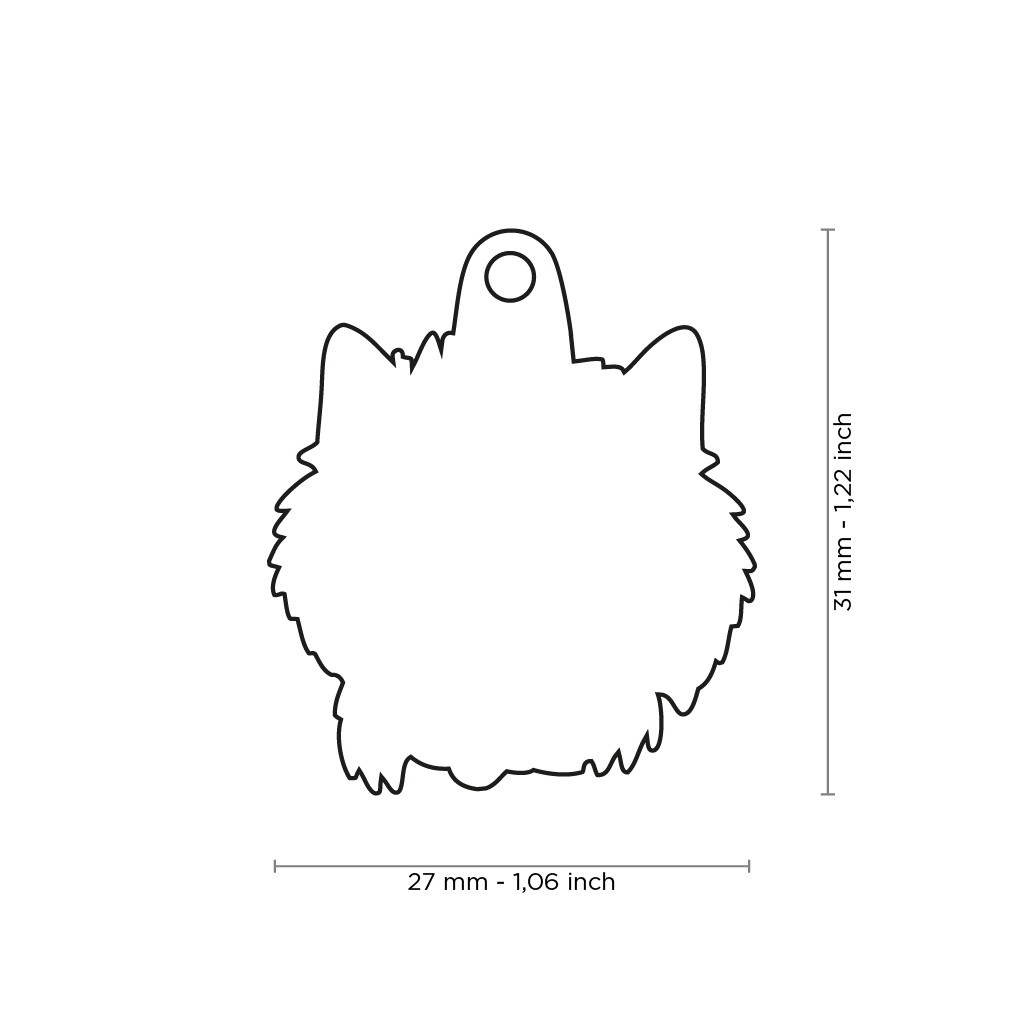 Plaquita friends cairn terrier