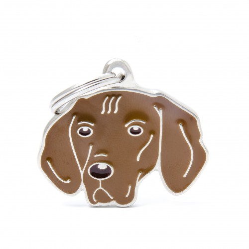 Plaquita friends vizsla   