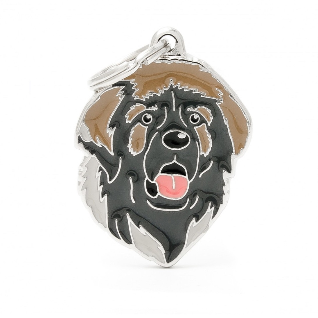 Plaquita friends leonberger   