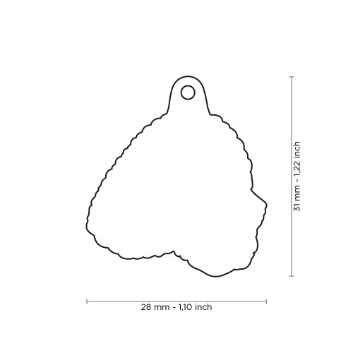 Plaquita friends bedlington terrier