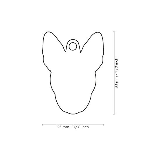 Plaquita friends white bull terrier