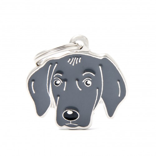 Plaquita friends weimaraner   