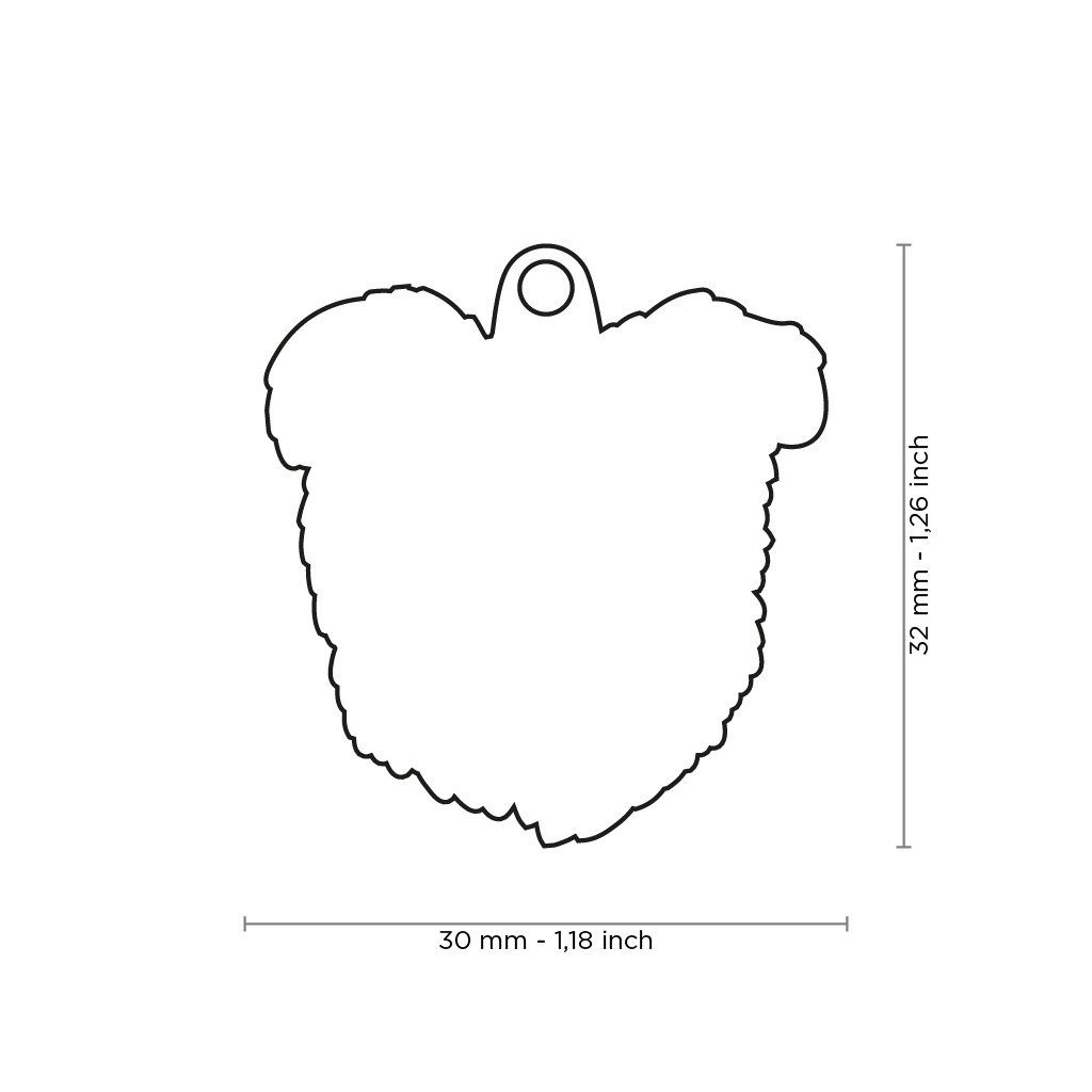 Plaquita friends australian shepherd